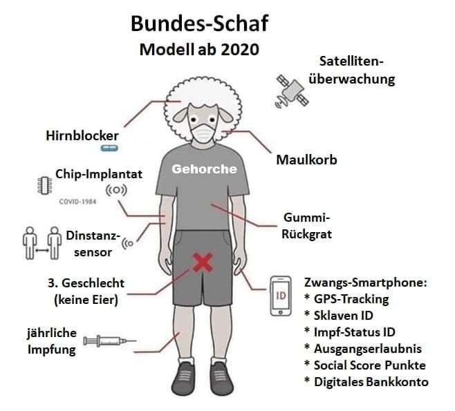 Bundes-Schaf