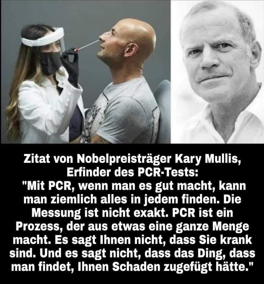 Zitat Kary Mullis