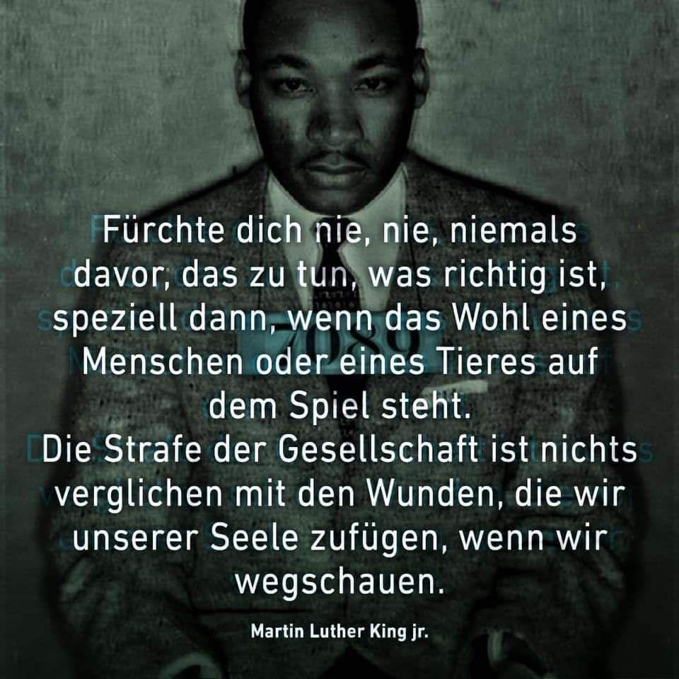 Zitat Martin Luther King