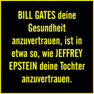 Bill Gates und Jeffrey Epstein